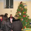 spoglio albero_09_ 3